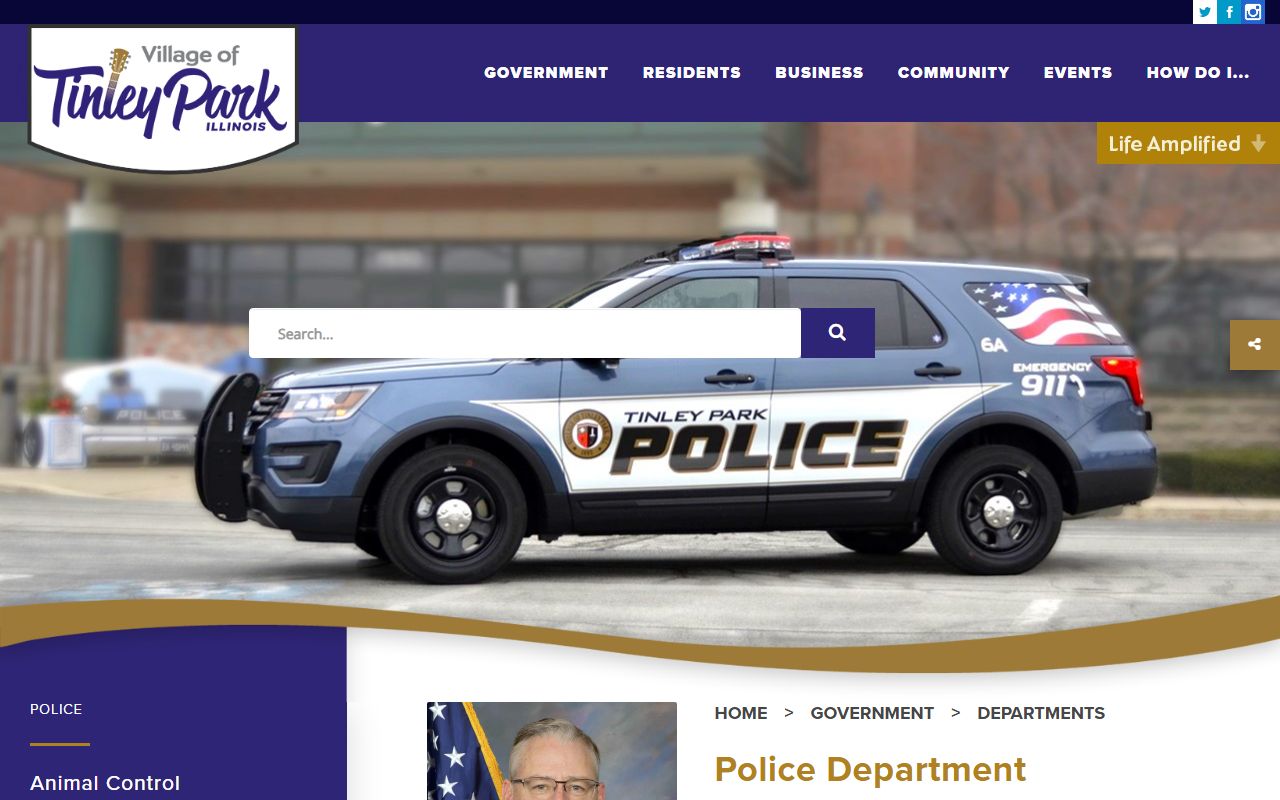 Tinley Park Police Department website for recent arrests information